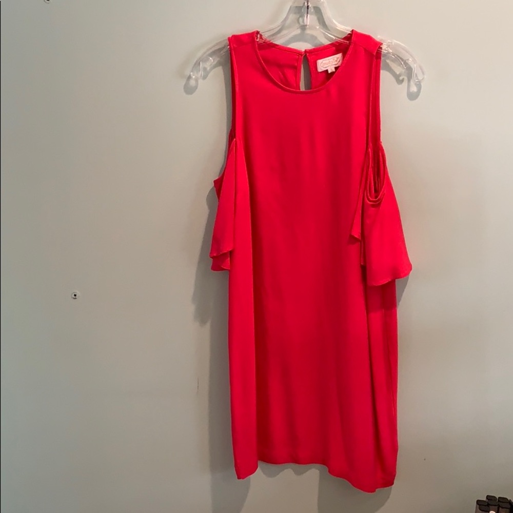 Mud pie dress